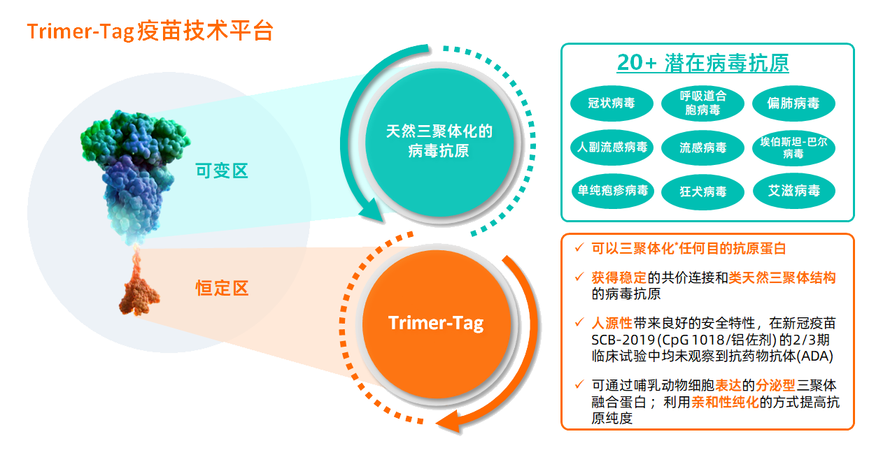 Trimer-Tag 的靶点和功能